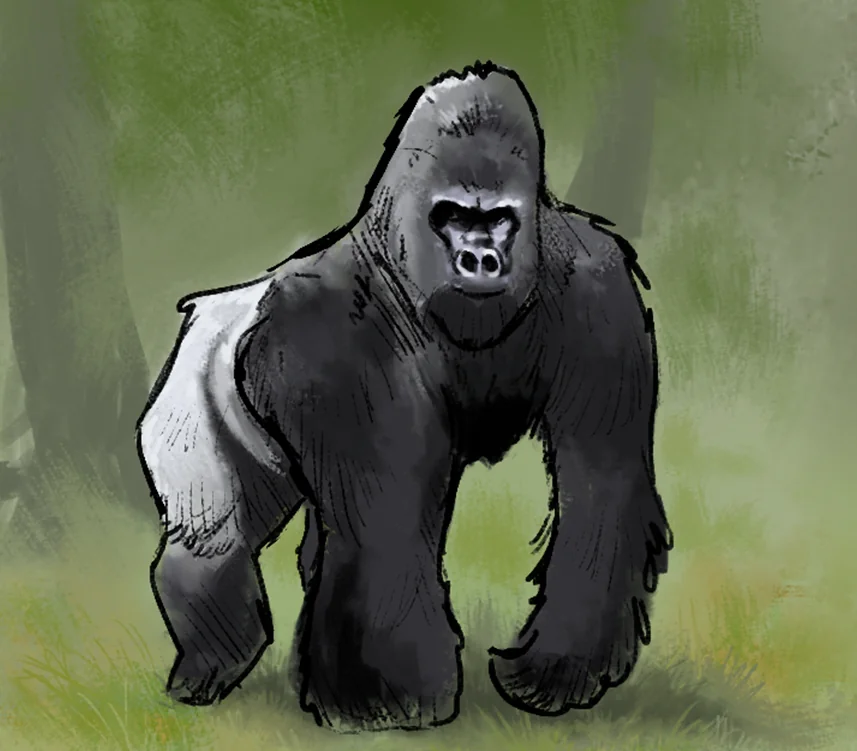 De oorspronkelijke Gorilla uit Land van KBEN