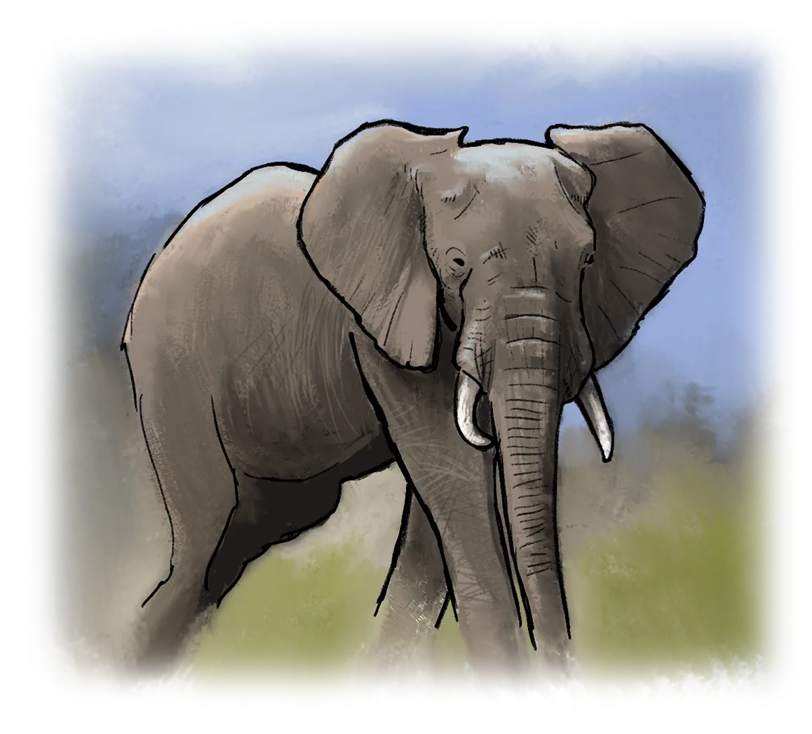 Olifant
