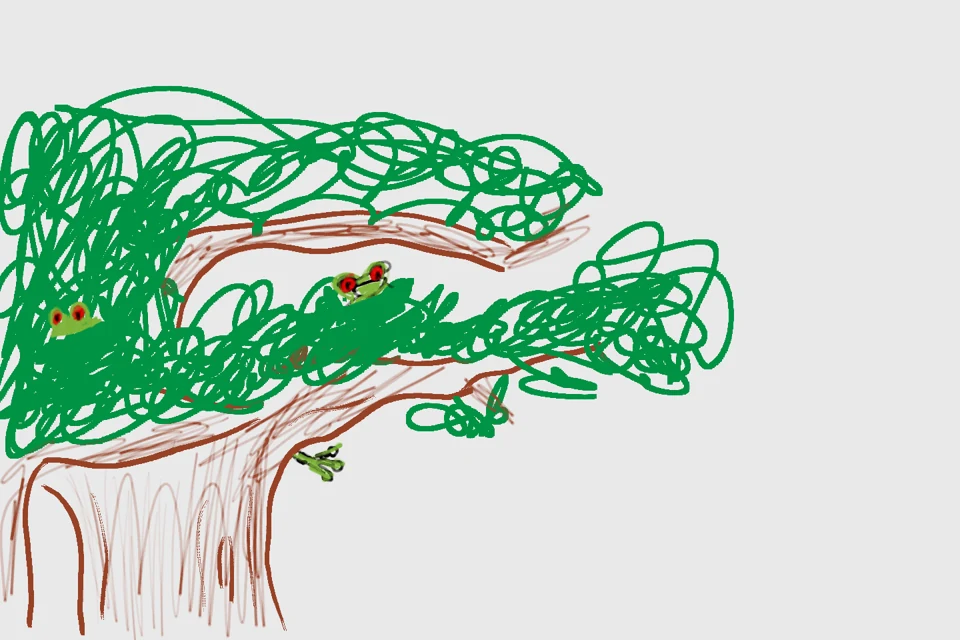 Boom met kikkers: tekening uit een opSafari-reis met kinderen