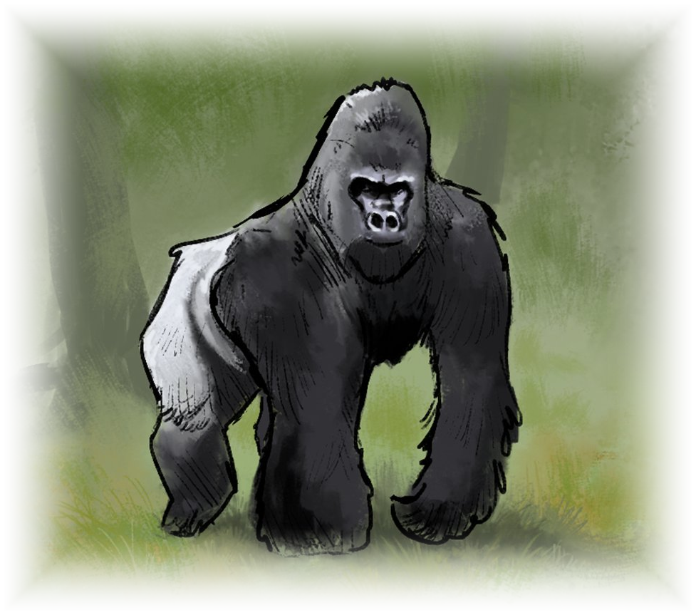 De oorspronkelijke Gorilla uit Land van KBEN